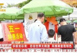 广西最新爆料新闻网视频,视频揭露惊人内幕，网友热议不断