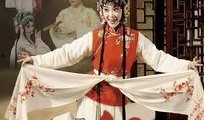 红娘苏在线观看,在线邂逅爱情的浪漫之旅